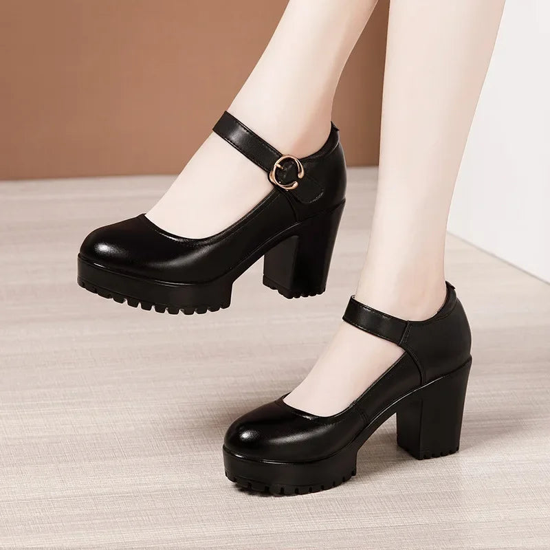 6 8 10cm Small Size 32-43 Shallow Thick Bottom Genuine Leather Shoes Platform Pumps 2026 Block High Heels Shoes Office Model