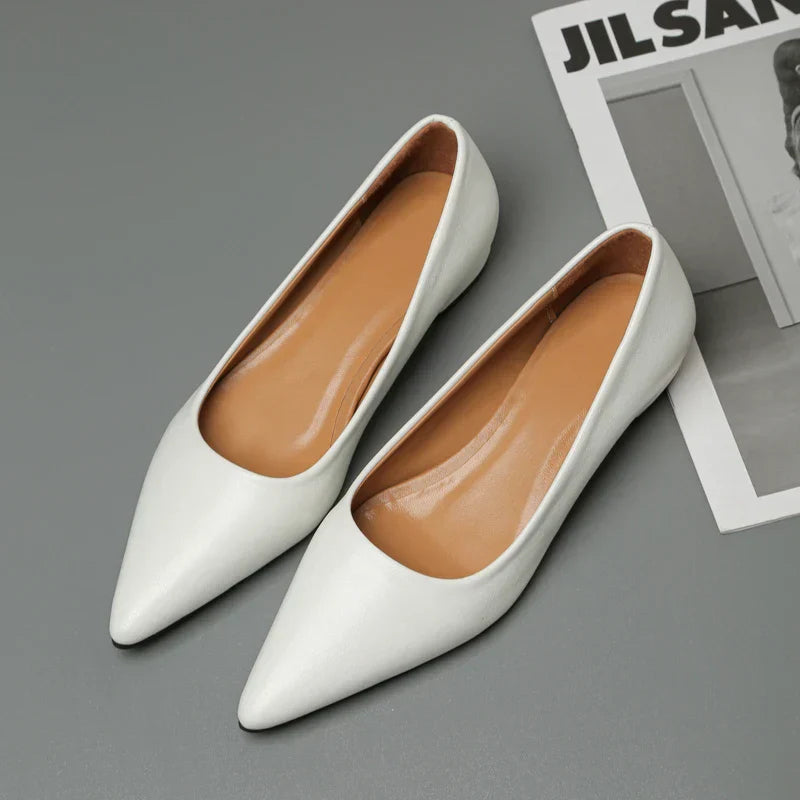 New Pointed Toe Shallow Mouth Square Heel Small Leather Shoes Women's Elegant Fashion High Heels Dress Shoes Zapatos Mujer