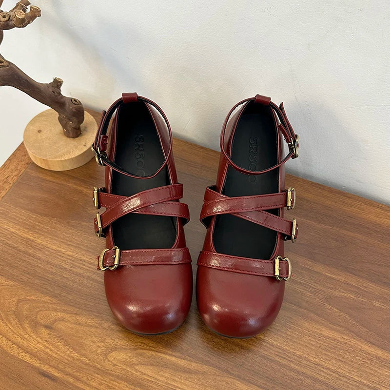 Women's 2025 New Autumn All-match Heightened Mary Jane Shoes Retro French Block Heel Shallow Single Shoes