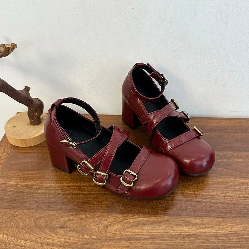 Women's 2025 New Autumn All-match Heightened Mary Jane Shoes Retro French Block Heel Shallow Single Shoes