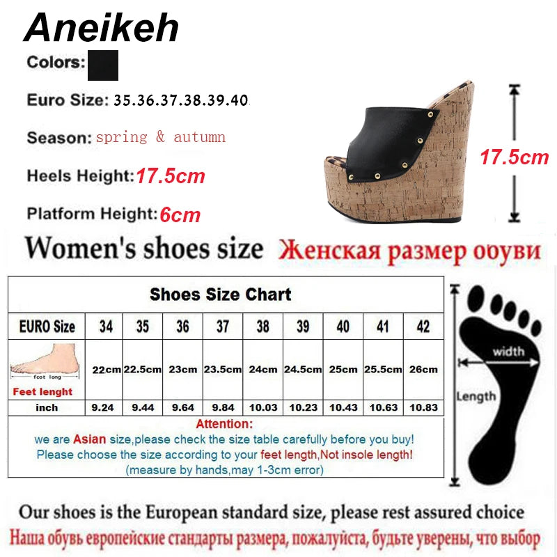 Aneikeh 2025 Summer Fashion Open Toe Sandals Platform Super High Heels Slip-on Metal Rivet Sandals Rome Party Women Mules black