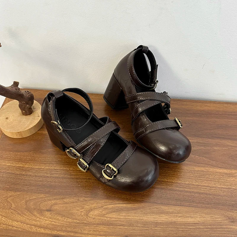 Women's 2025 New Autumn All-match Heightened Mary Jane Shoes Retro French Block Heel Shallow Single Shoes