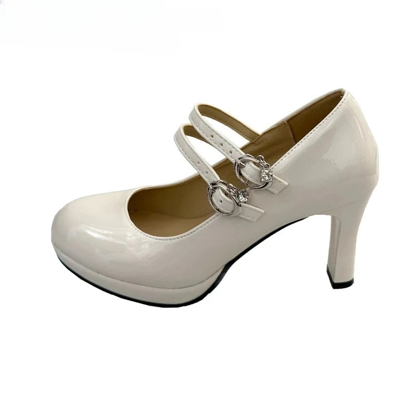 Designer Thick Heel Women Mary Jane Shoes Concise Shallow Belt Buckle Shoes Spring Ladies Outdoor Elegant Dress Dancing Pumps