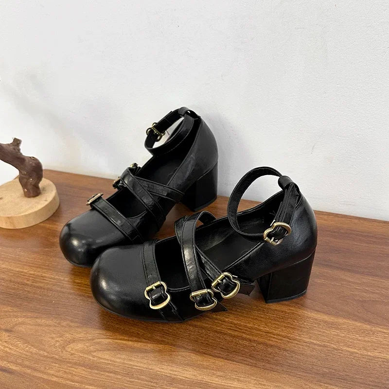 Women's 2025 New Autumn All-match Heightened Mary Jane Shoes Retro French Block Heel Shallow Single Shoes