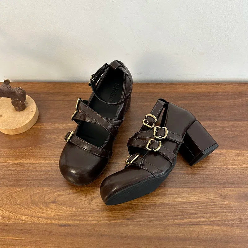 Women's 2025 New Autumn All-match Heightened Mary Jane Shoes Retro French Block Heel Shallow Single Shoes