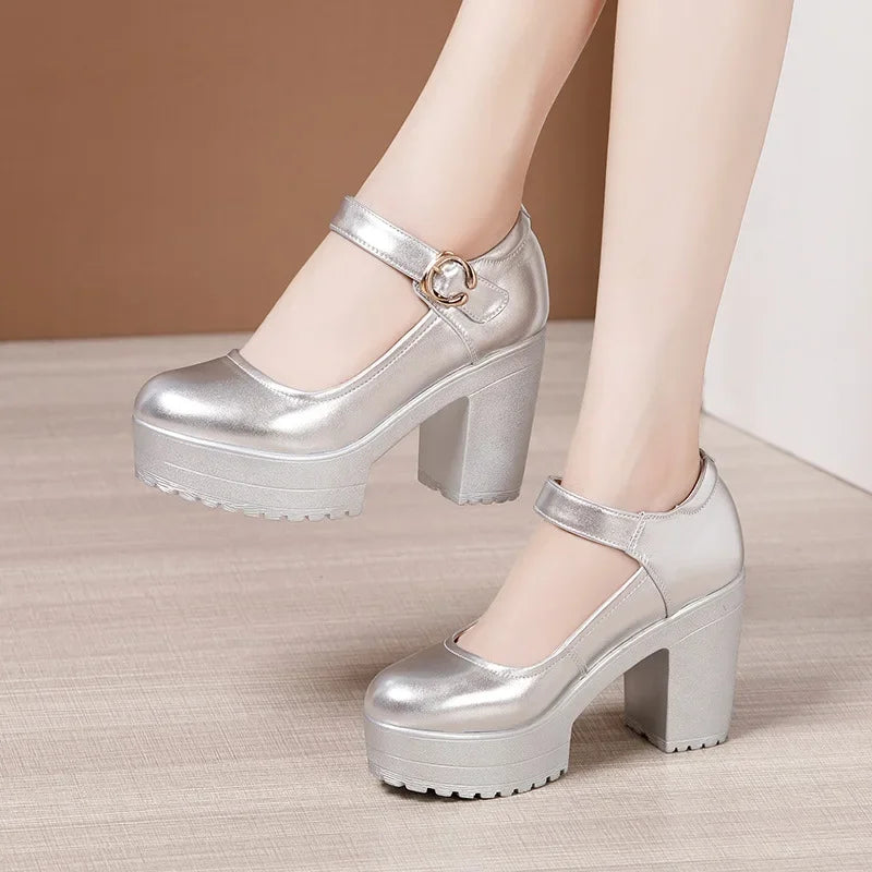 6 8 10cm Small Size 32-43 Shallow Thick Bottom Genuine Leather Shoes Platform Pumps 2026 Block High Heels Shoes Office Model