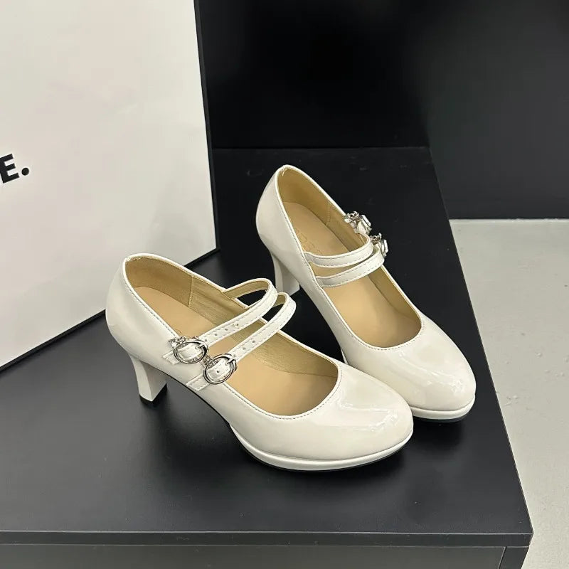 Designer Thick Heel Women Mary Jane Shoes Concise Shallow Belt Buckle Shoes Spring Ladies Outdoor Elegant Dress Dancing Pumps